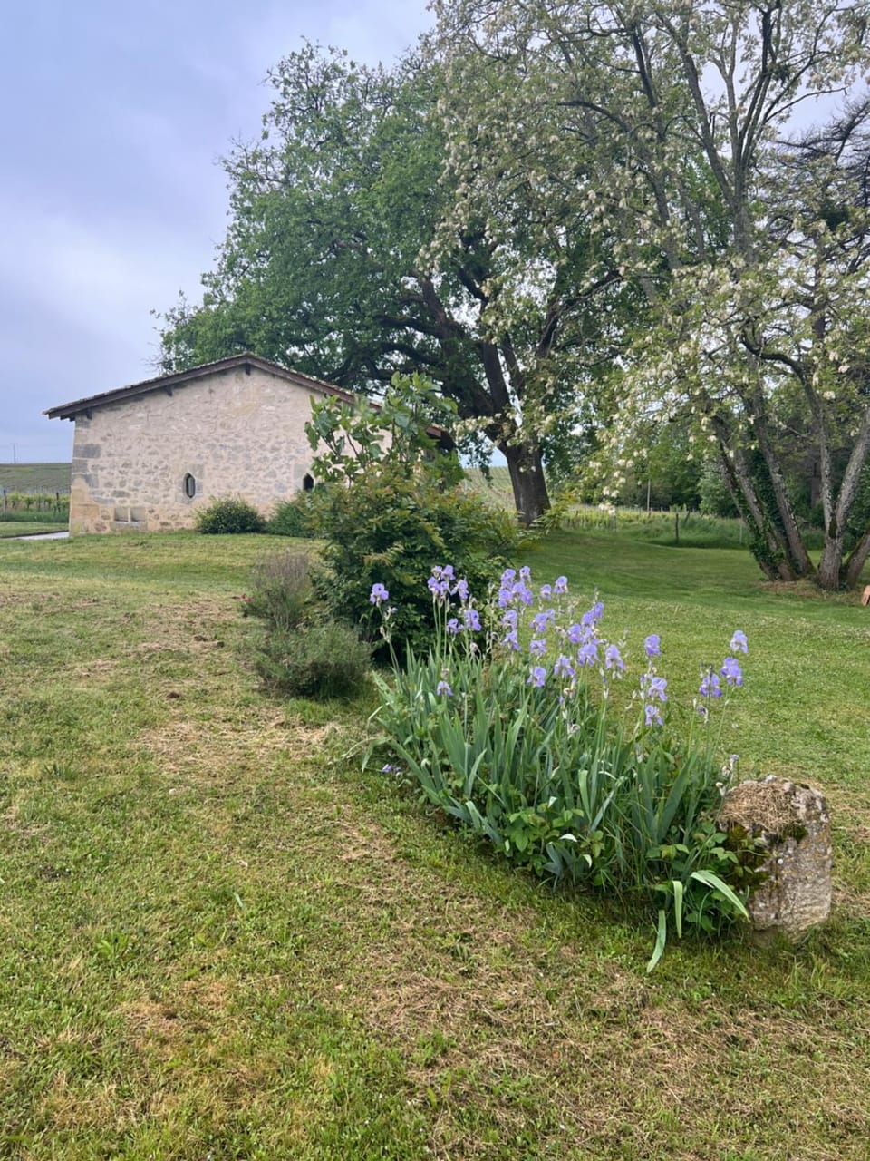 Spring, Natural landscape, Garden, Garden view