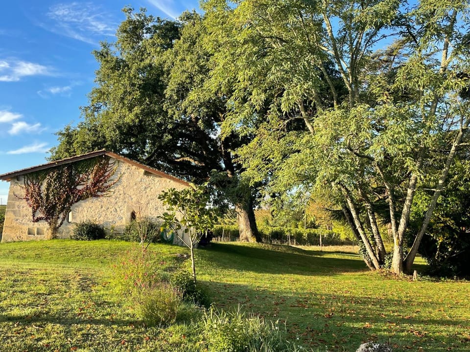 Spring, Day, Natural landscape, Garden, Garden view