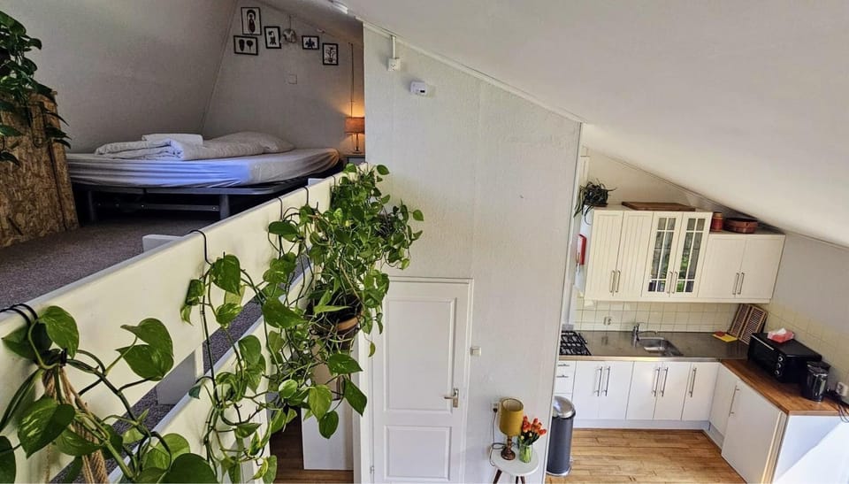 Bedroom, kitchen
