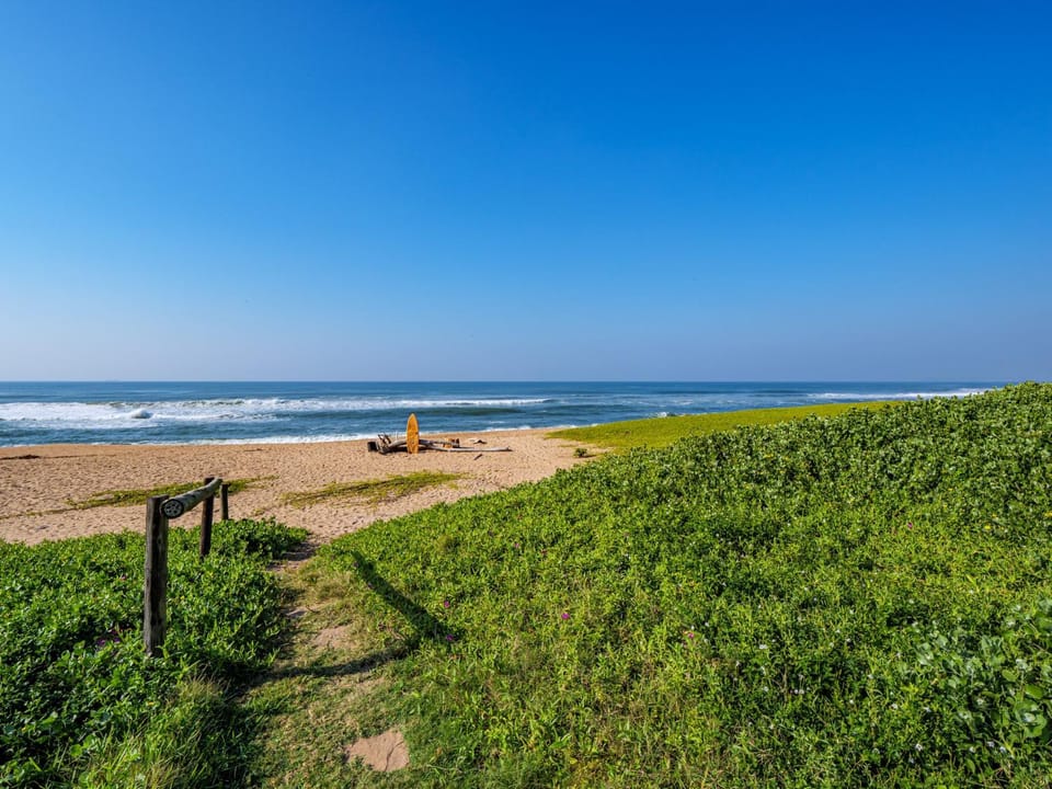 Beach, Beach