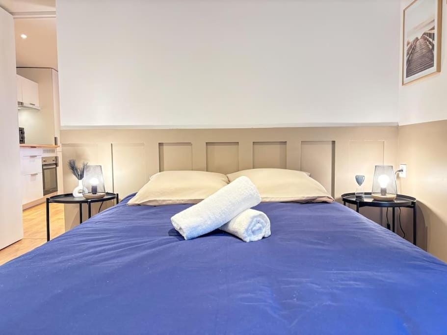 Le Saphir - Parking, Jardin Privé, Hyper-Centre & Calme Apartment in Brittany