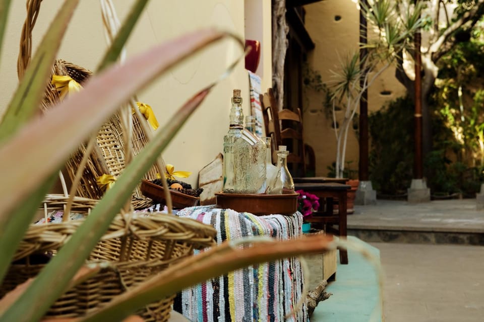 Patio, Garden
