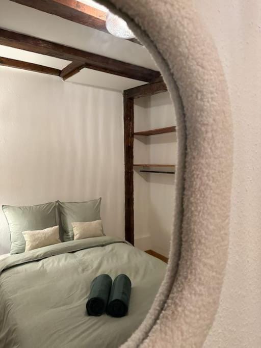Appartement cosy au centre-ville Apartment in Strasbourg