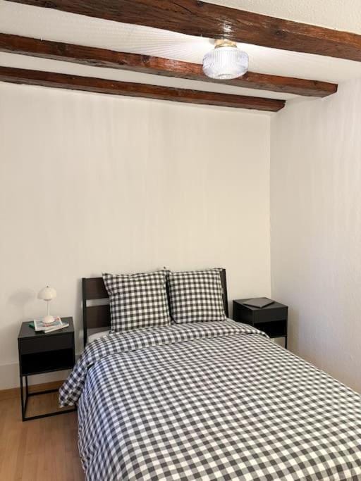 Appartement cosy au centre-ville Apartment in Strasbourg