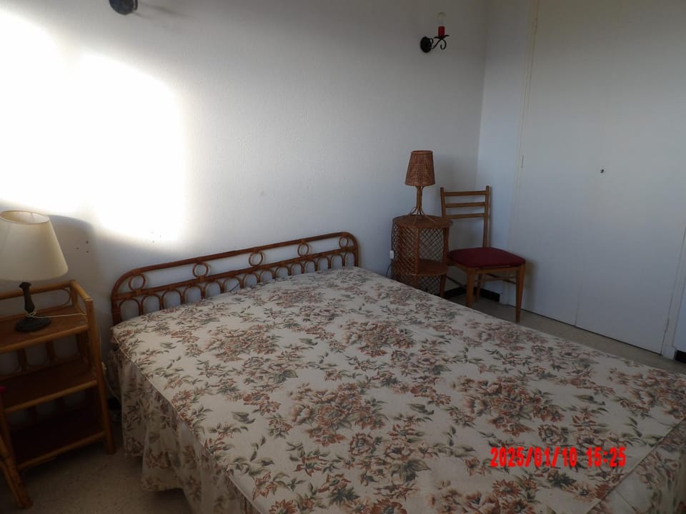 St Cyprien Appart lumineux face mer Apartment in Saint-Cyprien