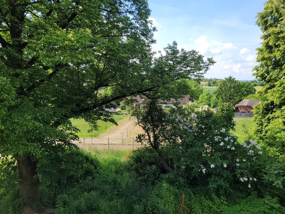 Rosenhof Apartment in Bavaria