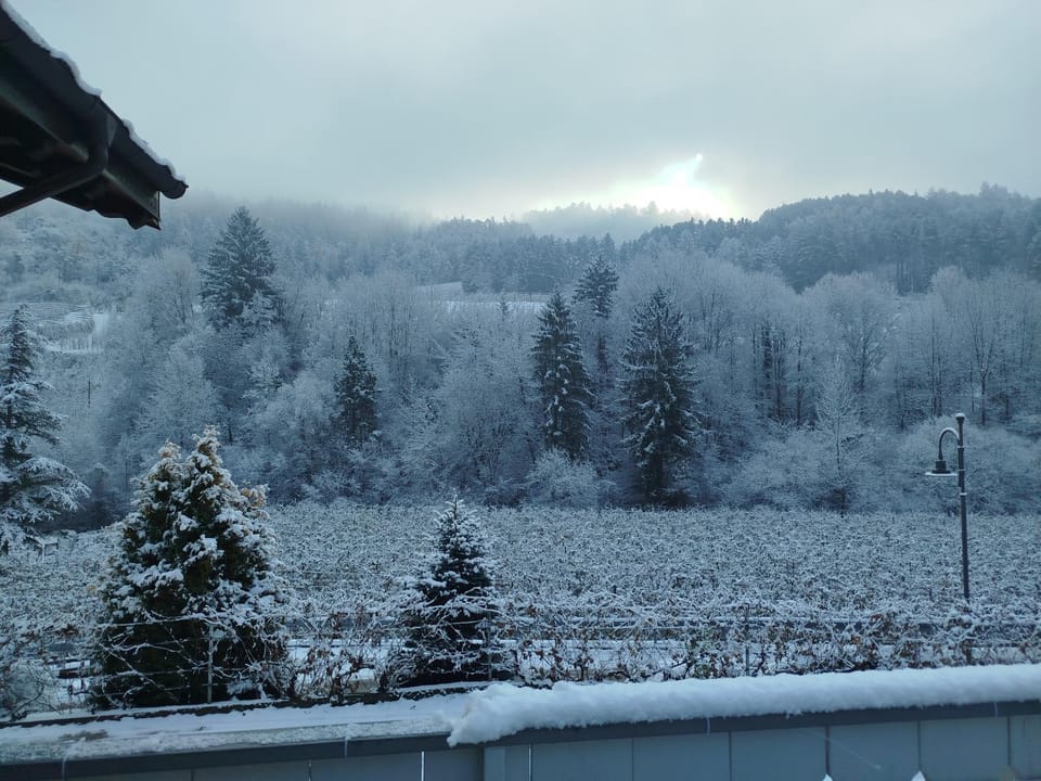 Agritur Casa al Mulino Appartamenti Apartment in Trentino-South Tyrol