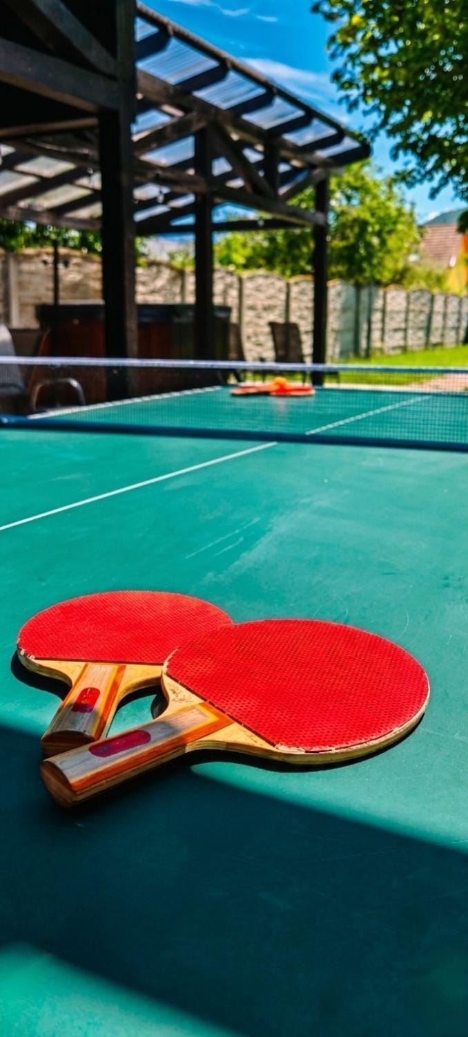 Table tennis, Table tennis