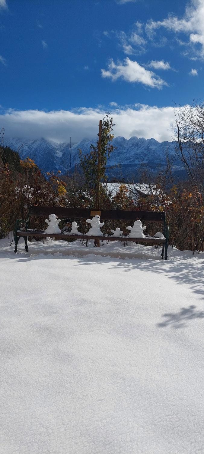 Winter, Mountain view