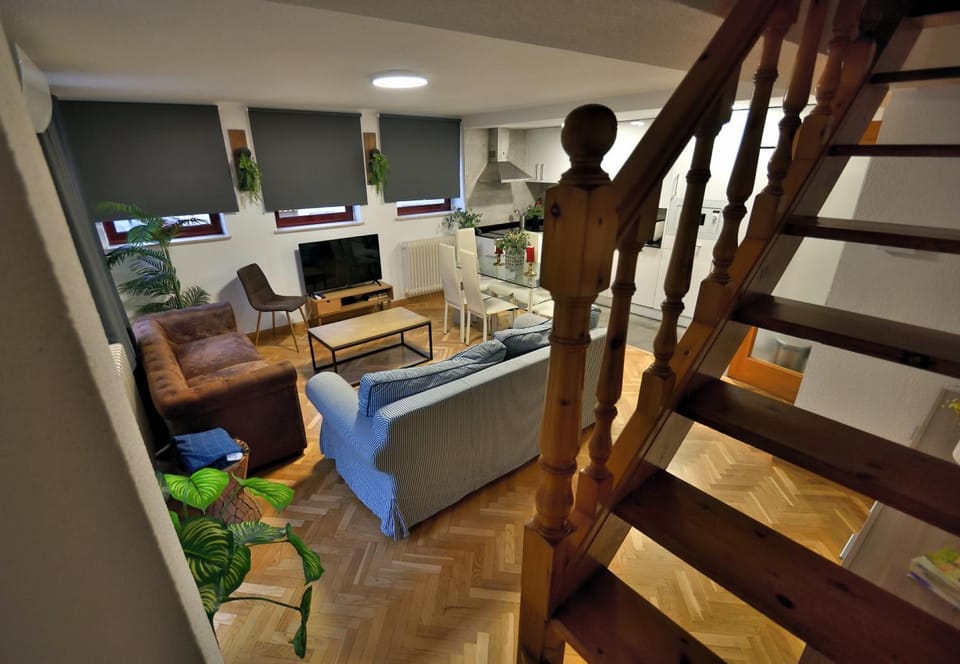 Dúplex La Ranita Salmantina Apartment in Salamanca