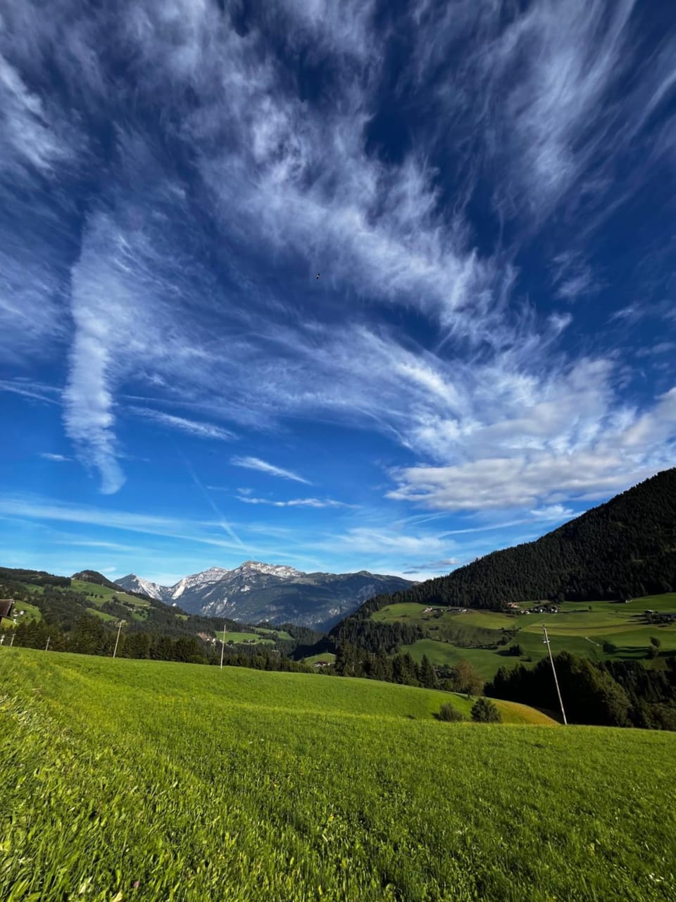 Ferienwohnung Thumerhof Apartment in Alpbach