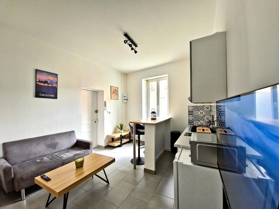 Tour Ouest - T2 entre Cité Médiévale et Bastide Apartment in Carcassonne