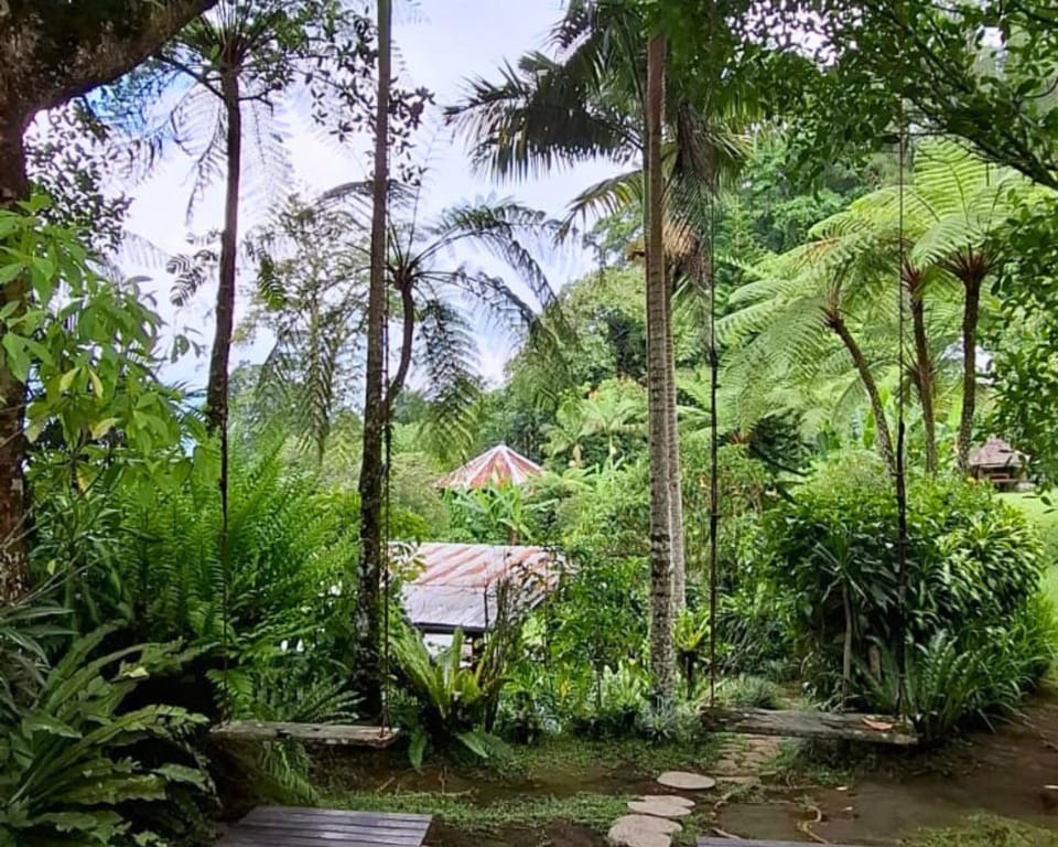 Natural landscape, Activities, Children play ground, Garden, Garden view