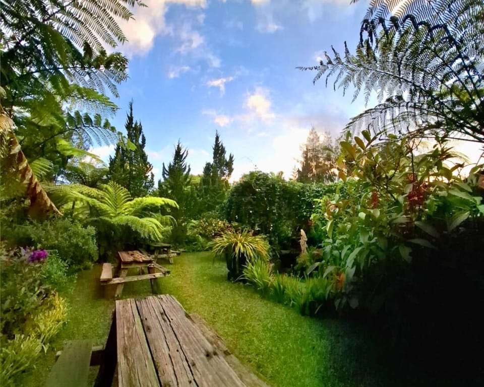 Natural landscape, Garden, Garden view
