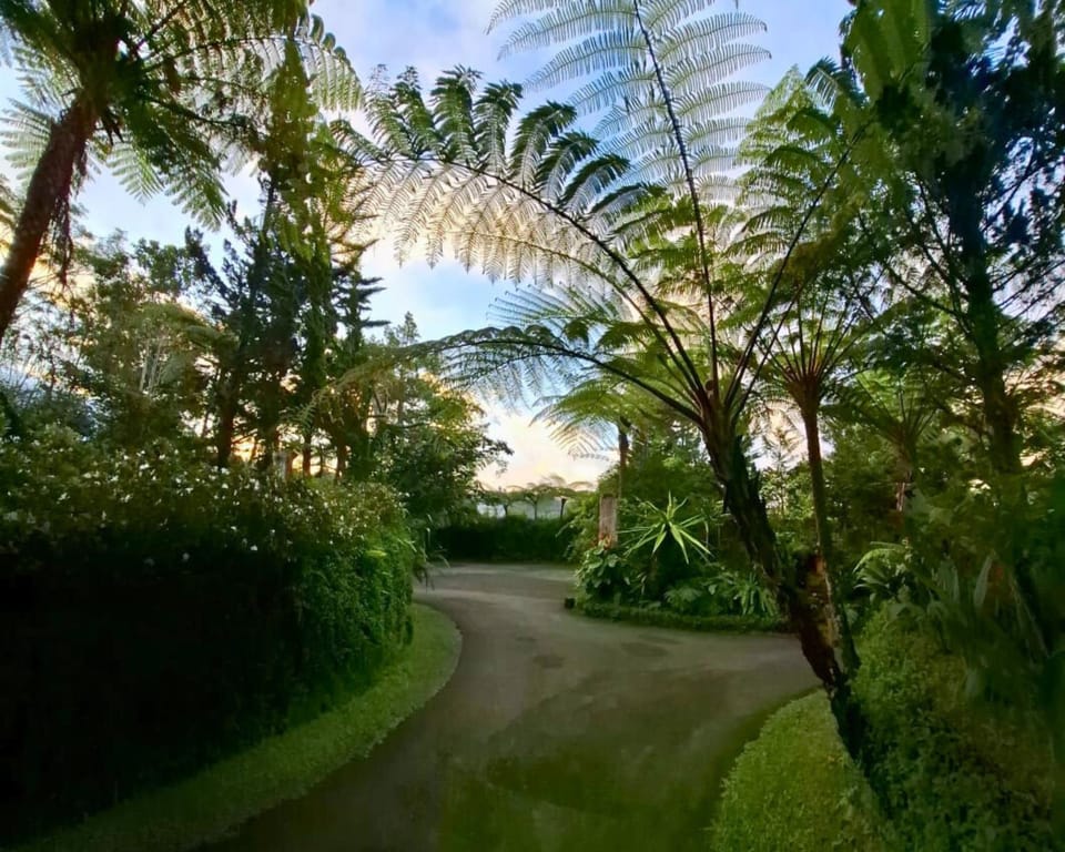 Nearby landmark, Natural landscape, Garden, Garden view