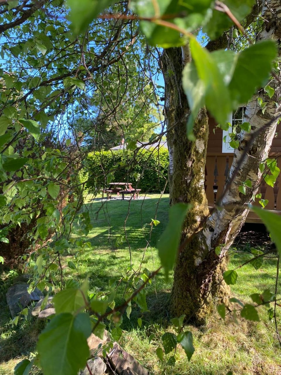 Garden view
