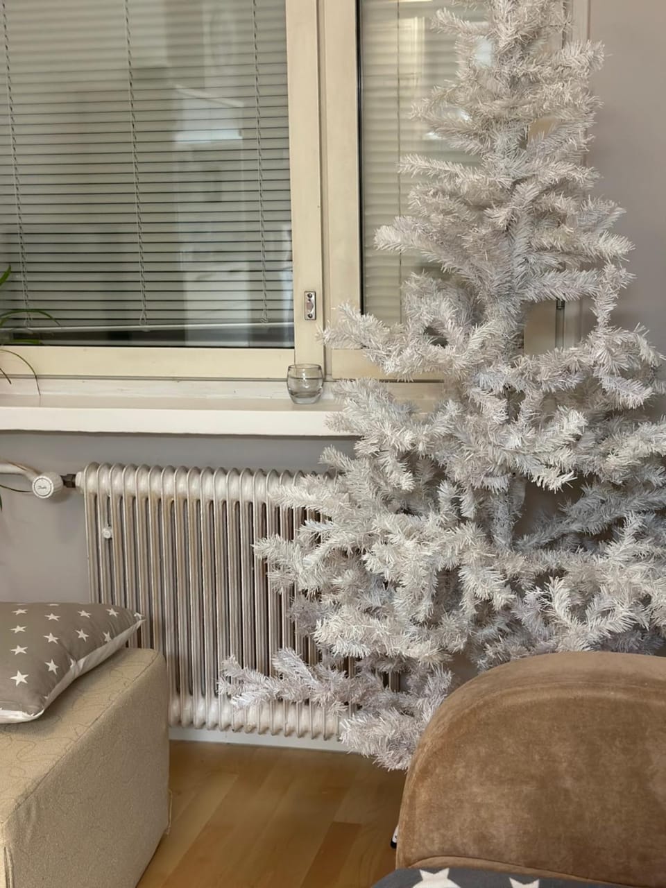 Winter, Living room