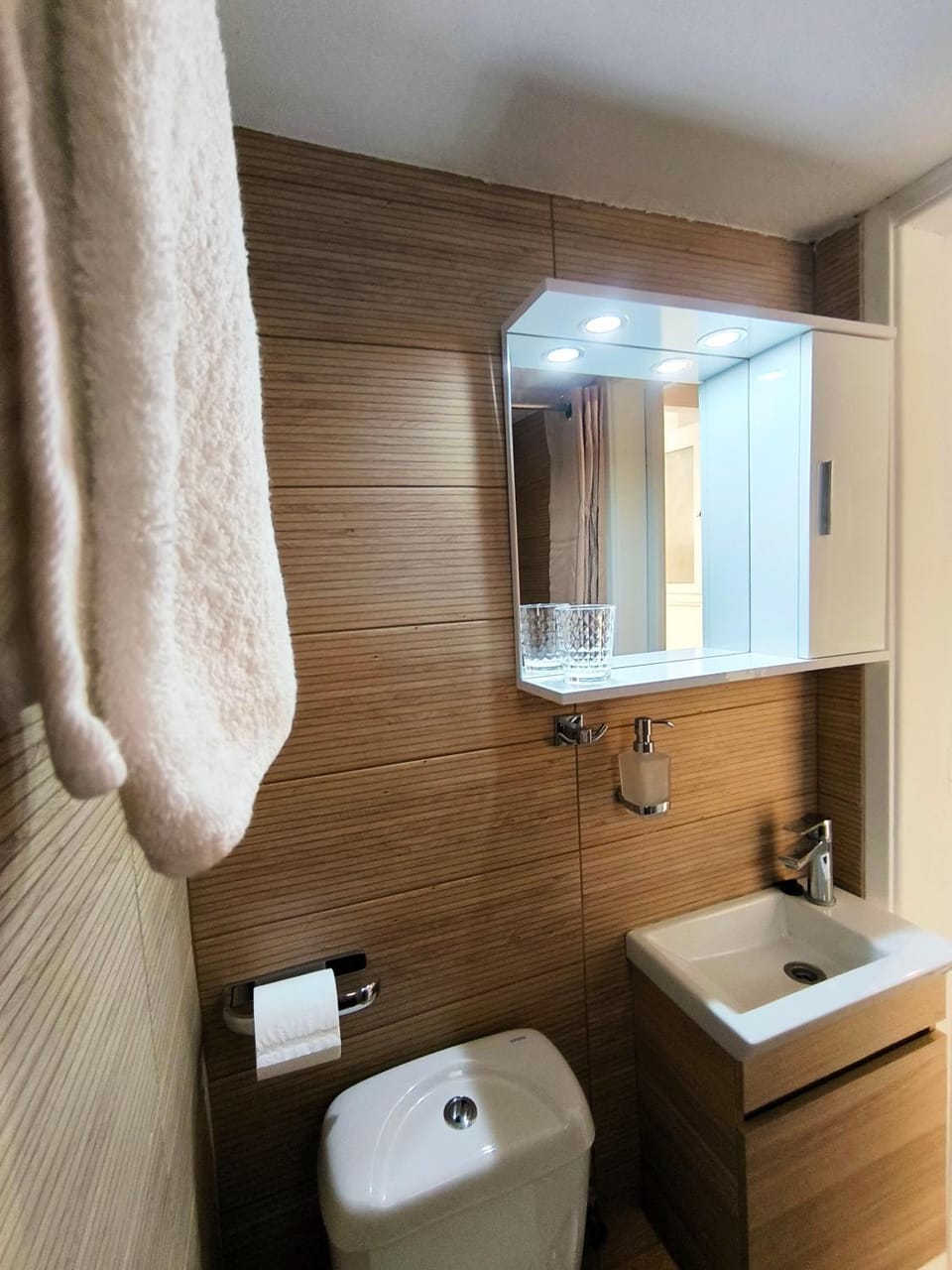 Toilet, Bathroom, towels