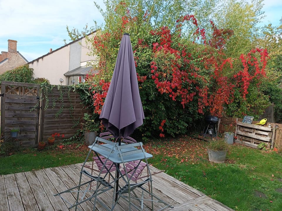 Garden, Garden view