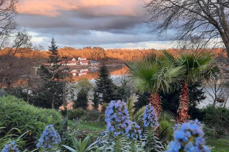 Spring, Garden