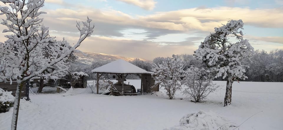 Winter, Garden