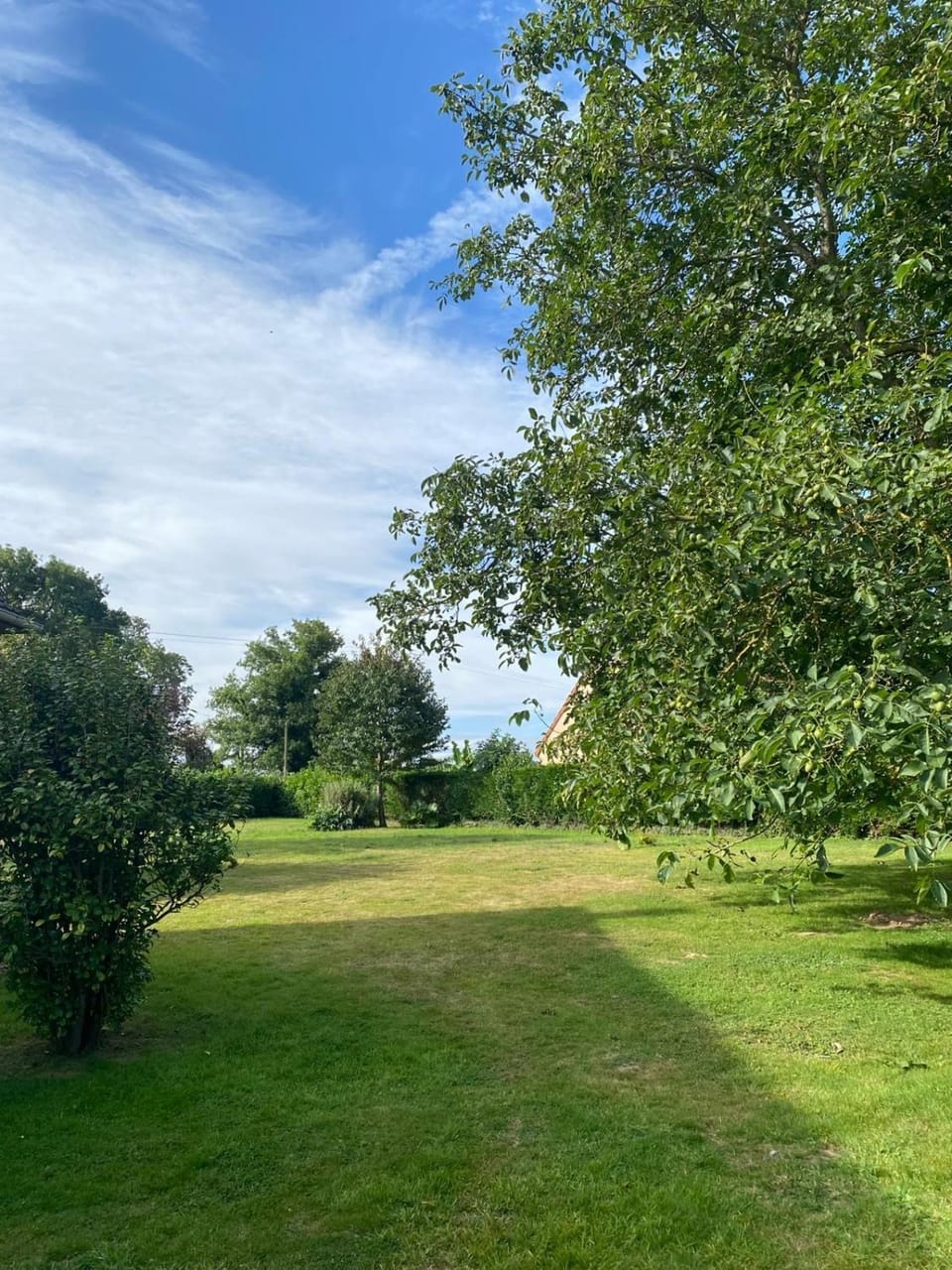 Garden, Garden, Garden view, Garden view