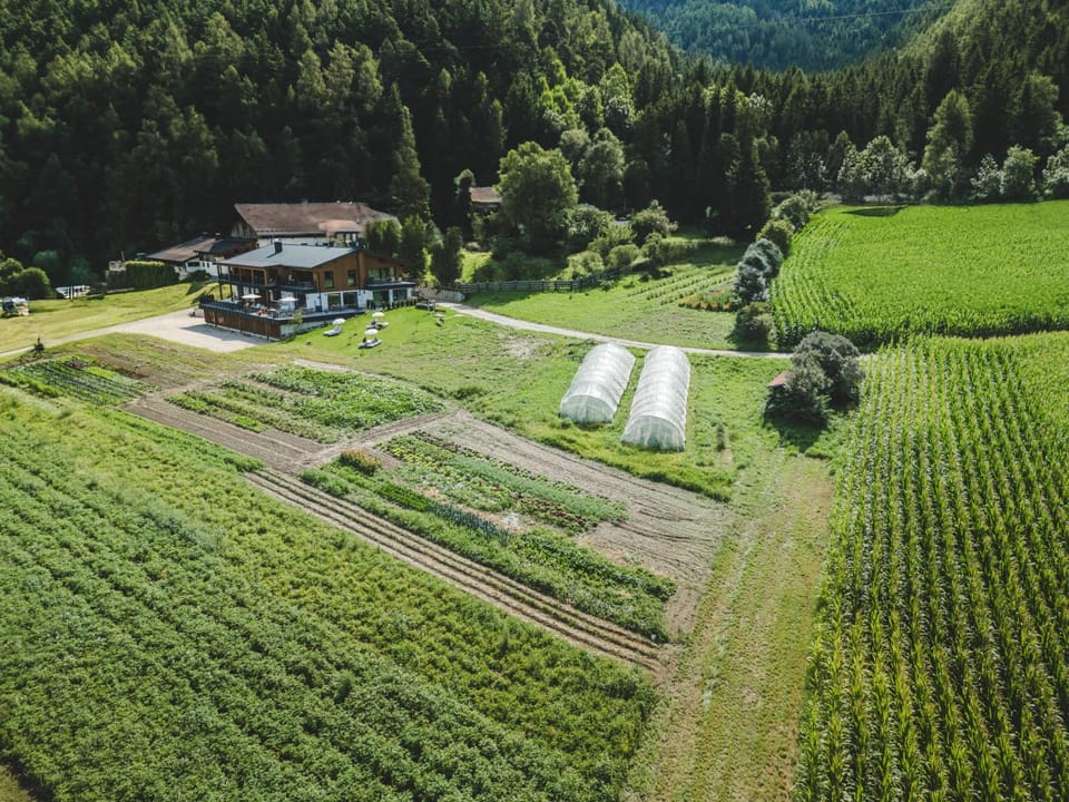 Property building, Spring, Day, Natural landscape, Bird's eye view, Garden, Garden, Garden view, Mountain view