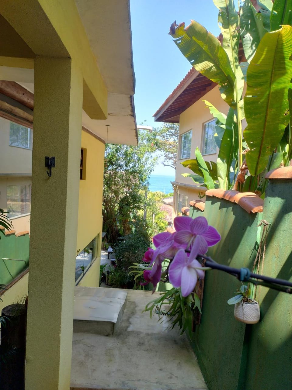 View (from property/room), Garden view
