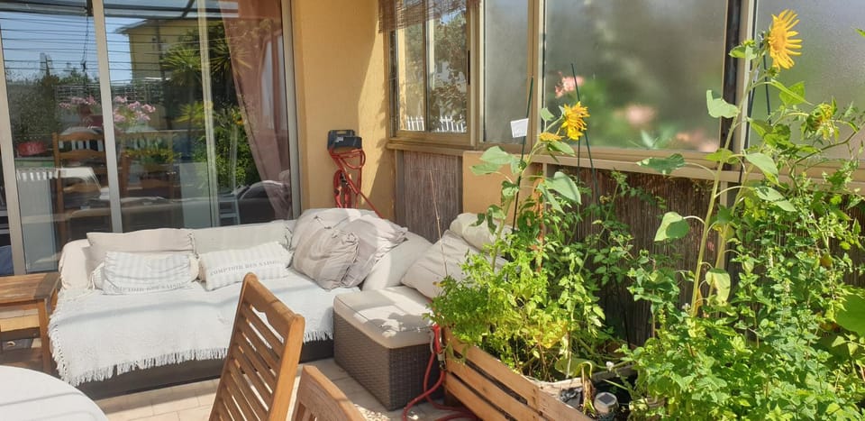 Patio, Spring, Seating area