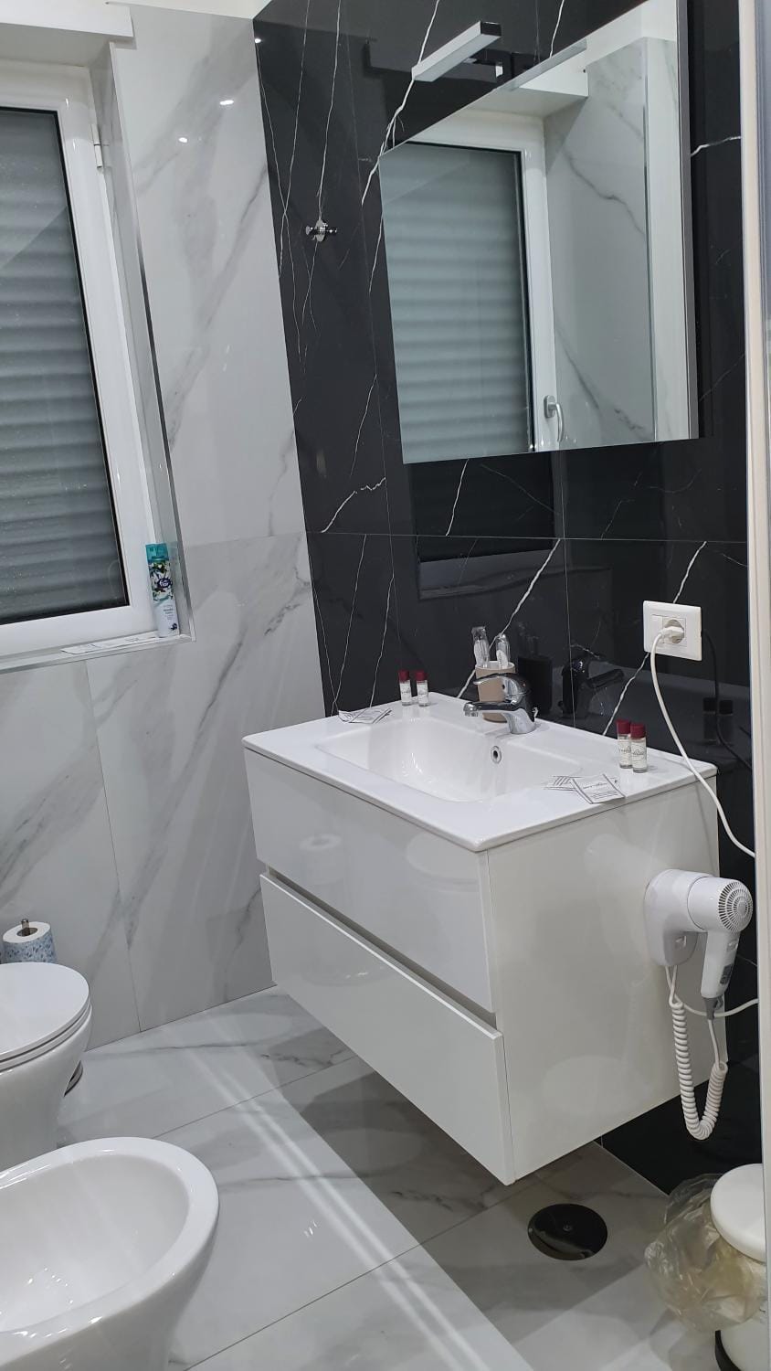 Shower, Toilet, bidet, hair dryier, towels