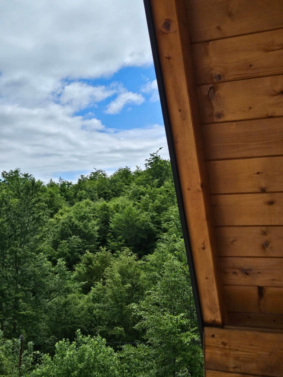 Wilderness Cabin Cabin in Montenegro