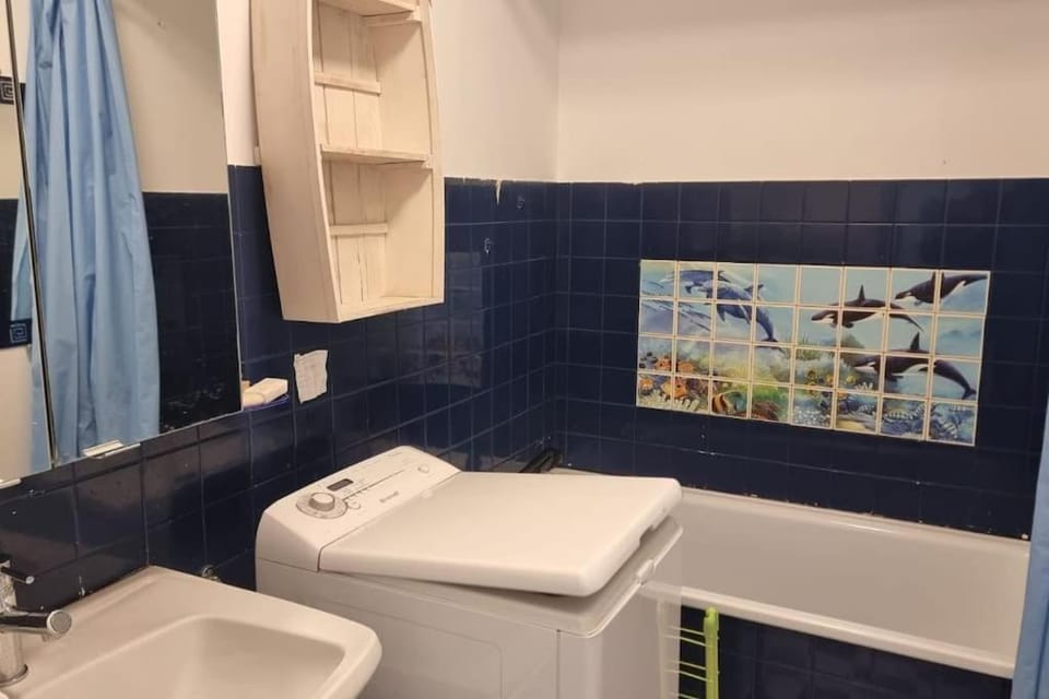 Le petit Géromois - Free parking Apartment in Gérardmer