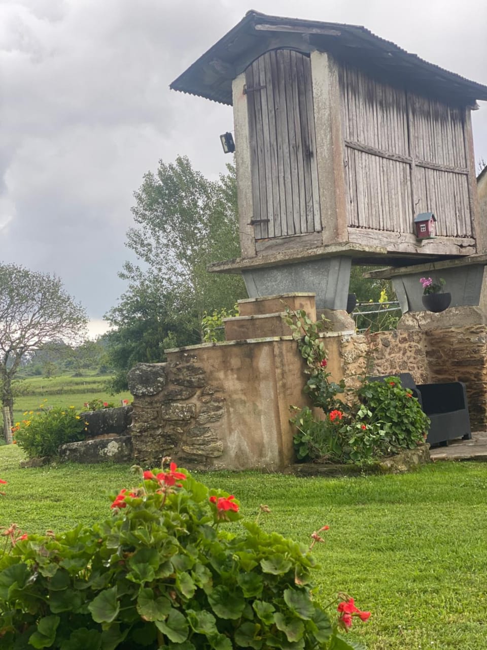 Property building, Garden view
