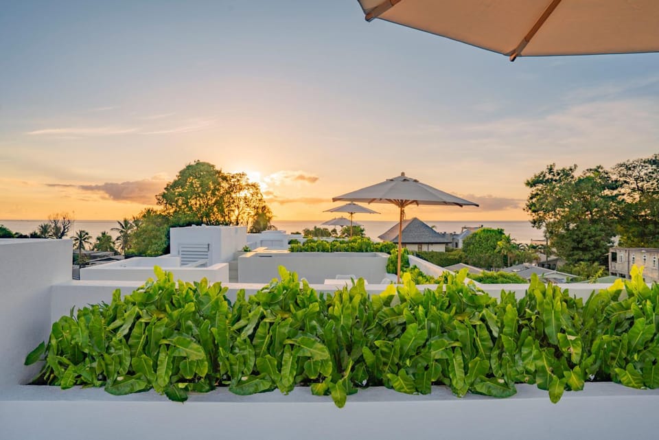 Garden, Sea view, Sunset
