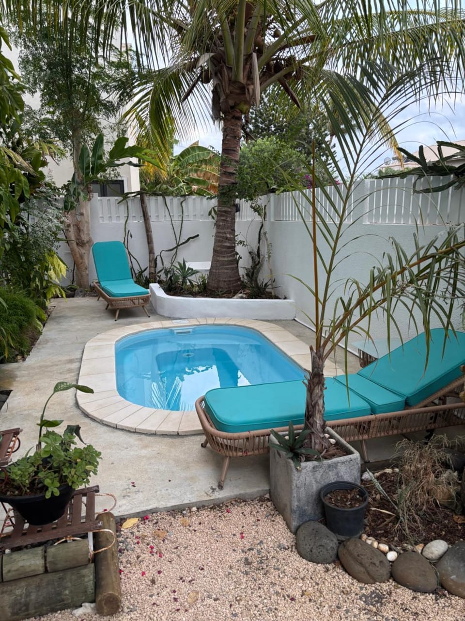 Garden view, Pool view, Swimming pool, sunbed
