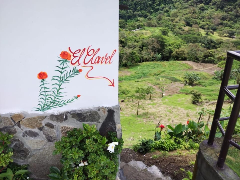 Natural landscape, Garden