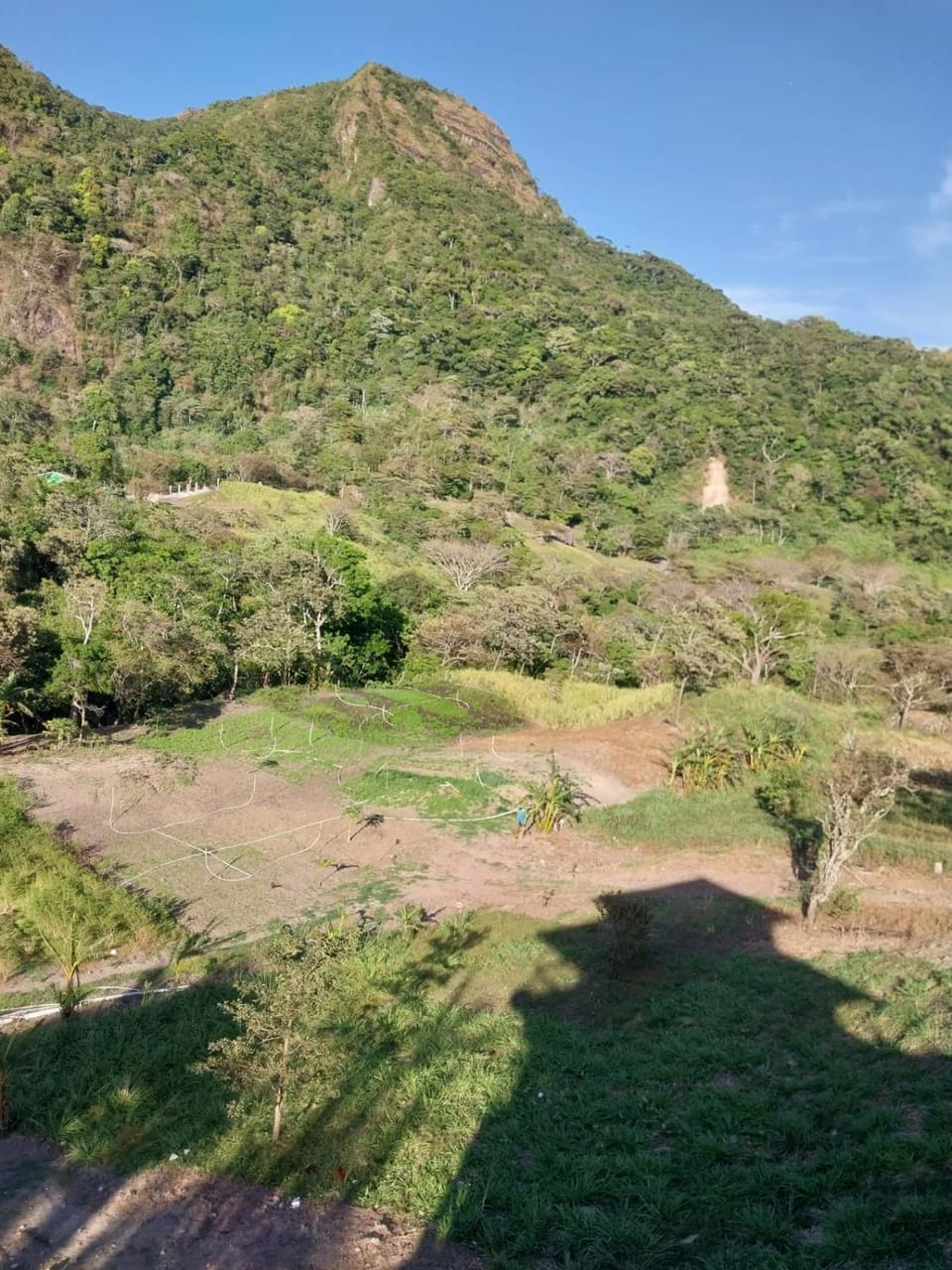 Natural landscape