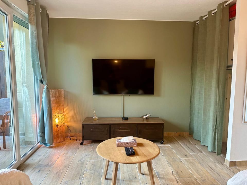 TV and multimedia