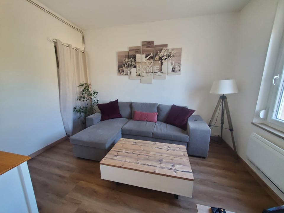 Appartement lumineux en centre-ville Apartment in Grand Est