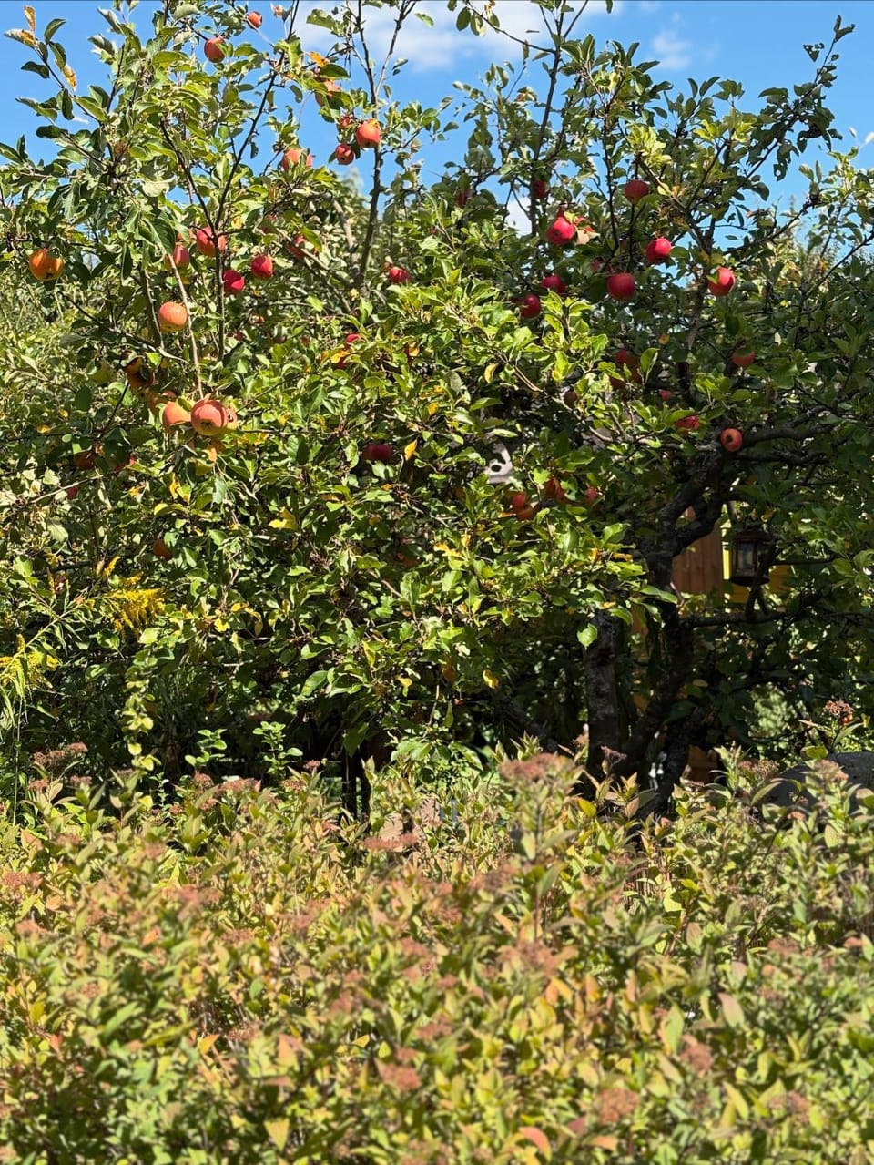 Am Himmelreich Apartment in Kaiserslautern
