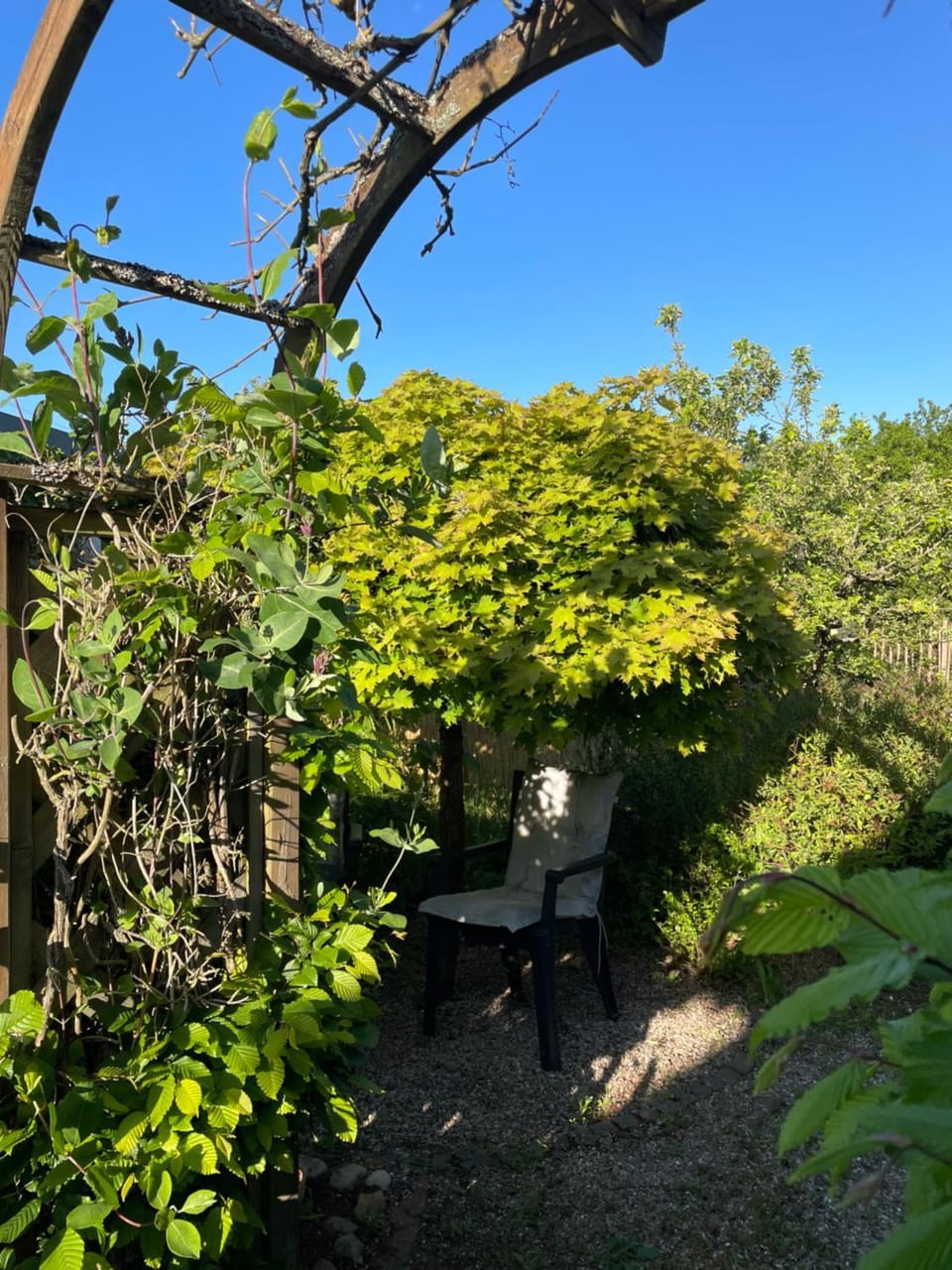 Am Himmelreich Apartment in Kaiserslautern