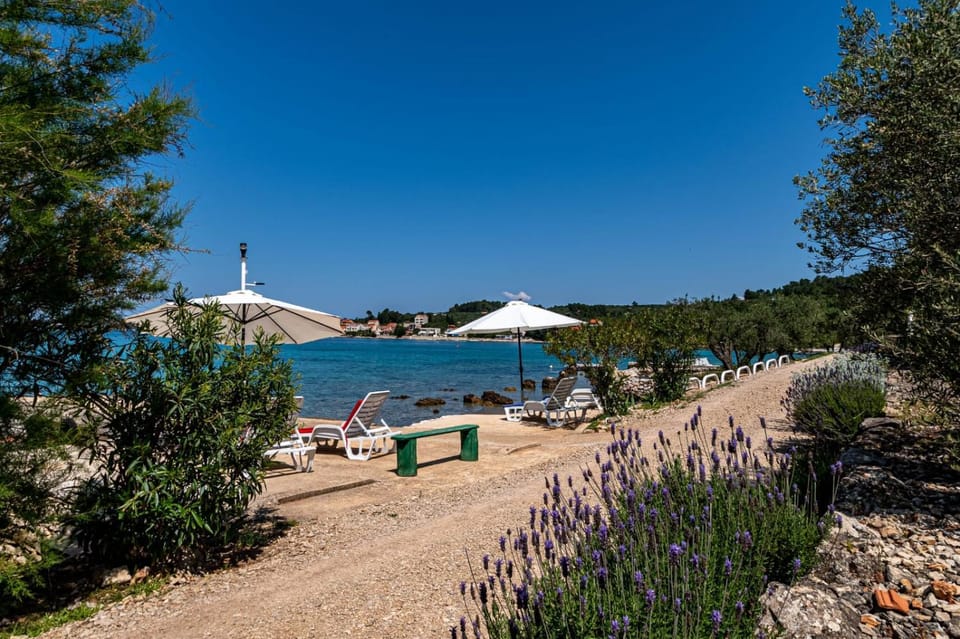 Beach, sunbed