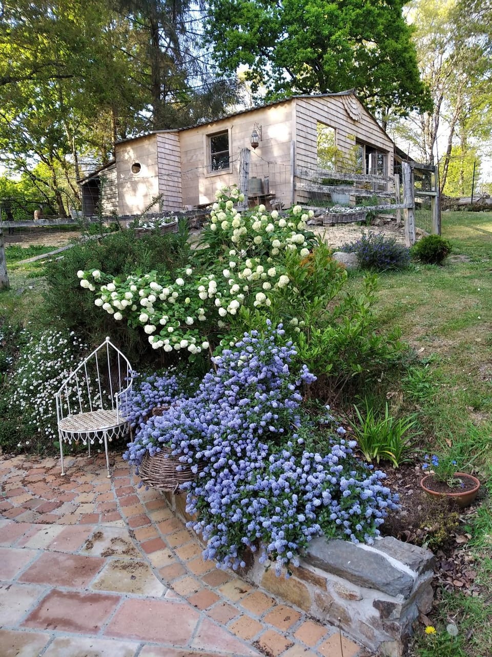 Garden view