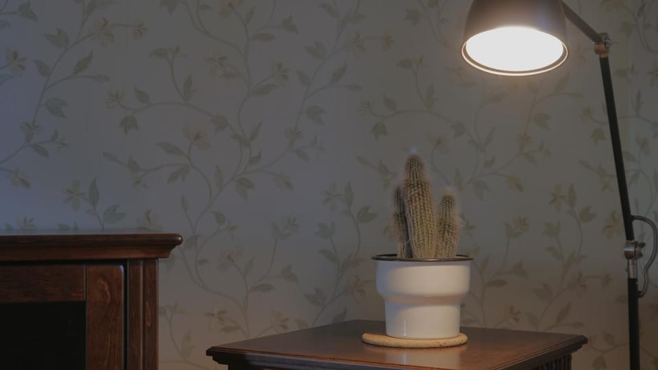 Decorative detail