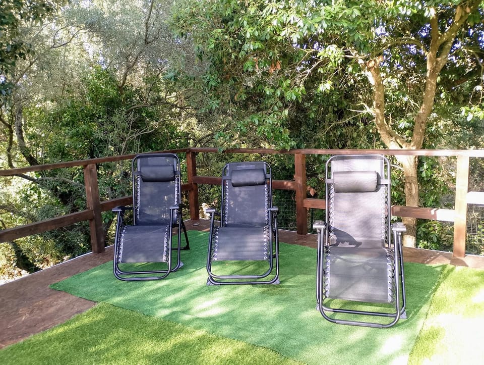 Spring, Day, Garden, Swimming pool, sunbed