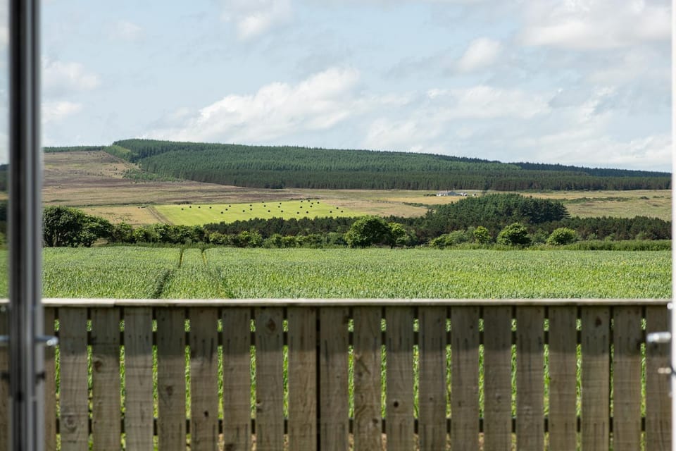 Birch Tree Lodge - Luxurious Lodge on the NC500 by Thrumster Lodges House in Scotland