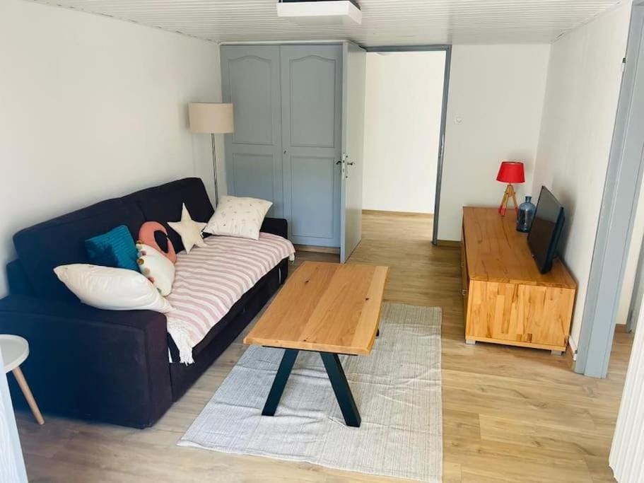 gîte du château Apartment in Grand Est