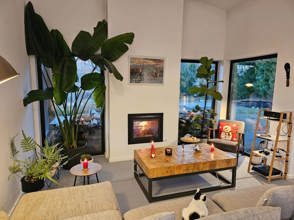 TV and multimedia, Living room, fireplace