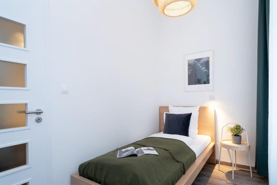 Huge aparment in the city center with Air Conditioning Apartment in Budapest