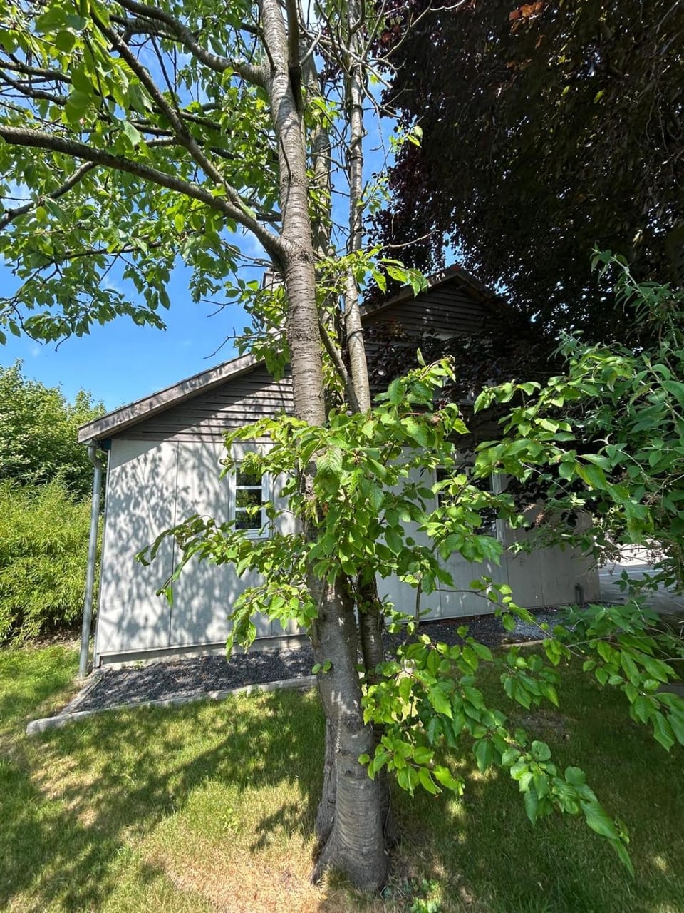 Modern 2 bedroom cottage close to airport and town - sleeps 8 House in Zealand